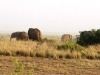 thumbs_img_0012
