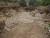 thumbs_img_0460