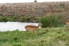 img_0585
